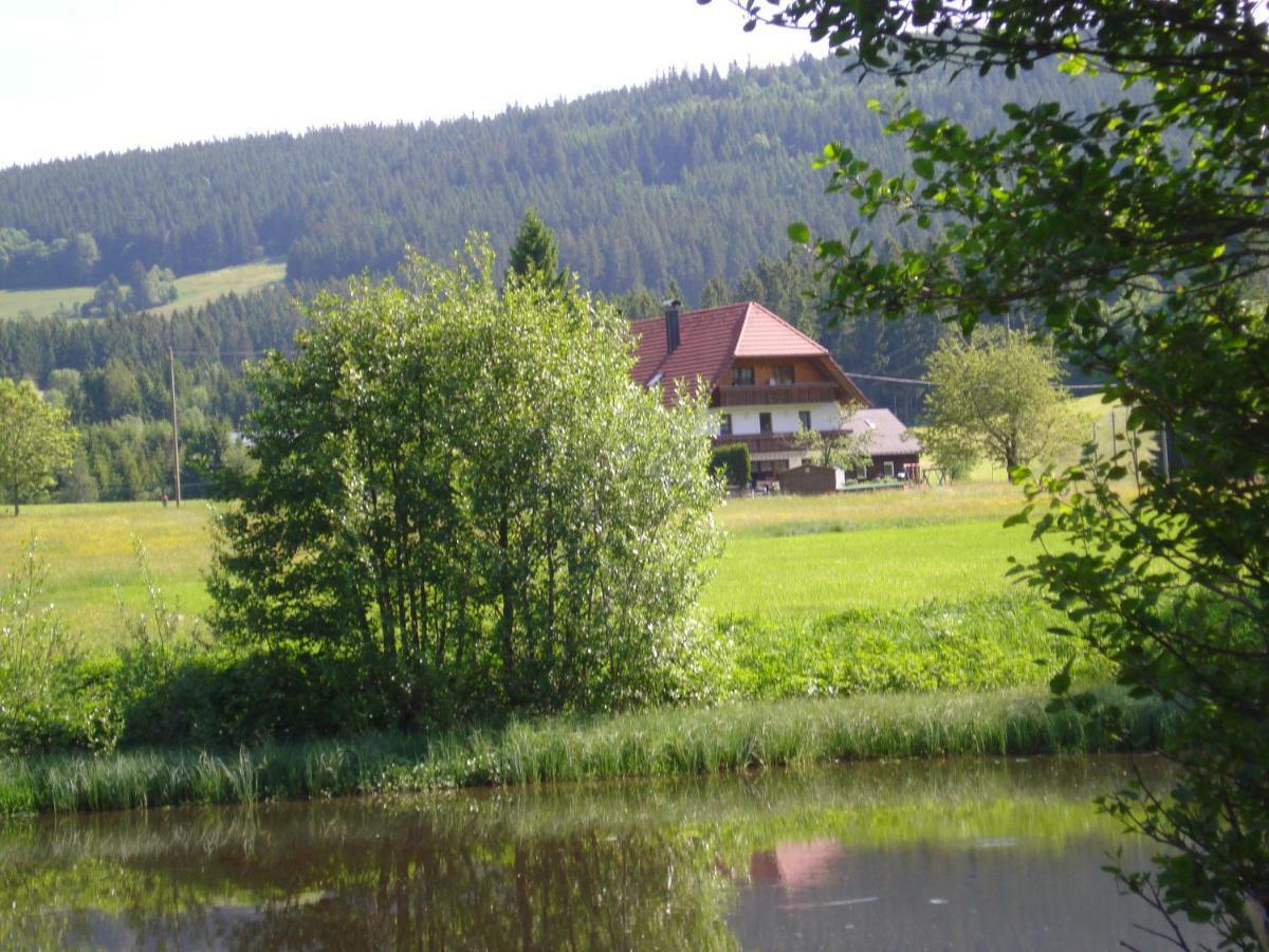 Ferienhaus Ehinger Lägenhet Breitnau Exteriör bild