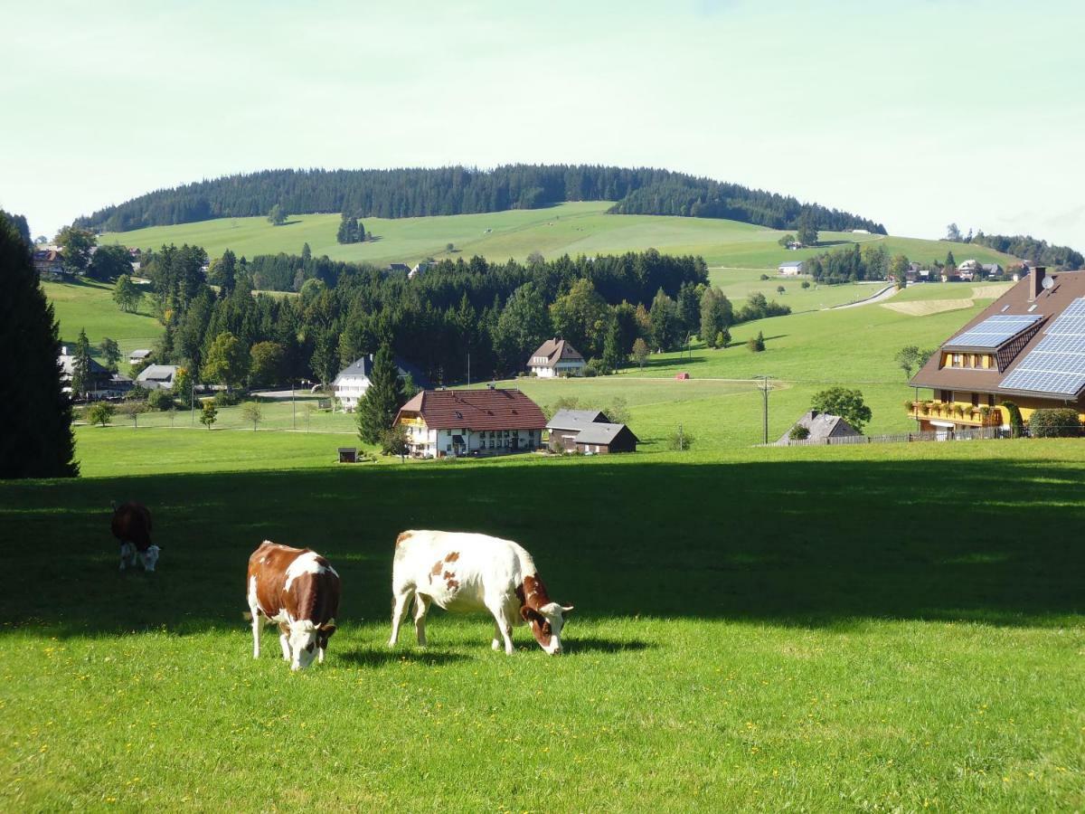 Ferienhaus Ehinger Lägenhet Breitnau Exteriör bild