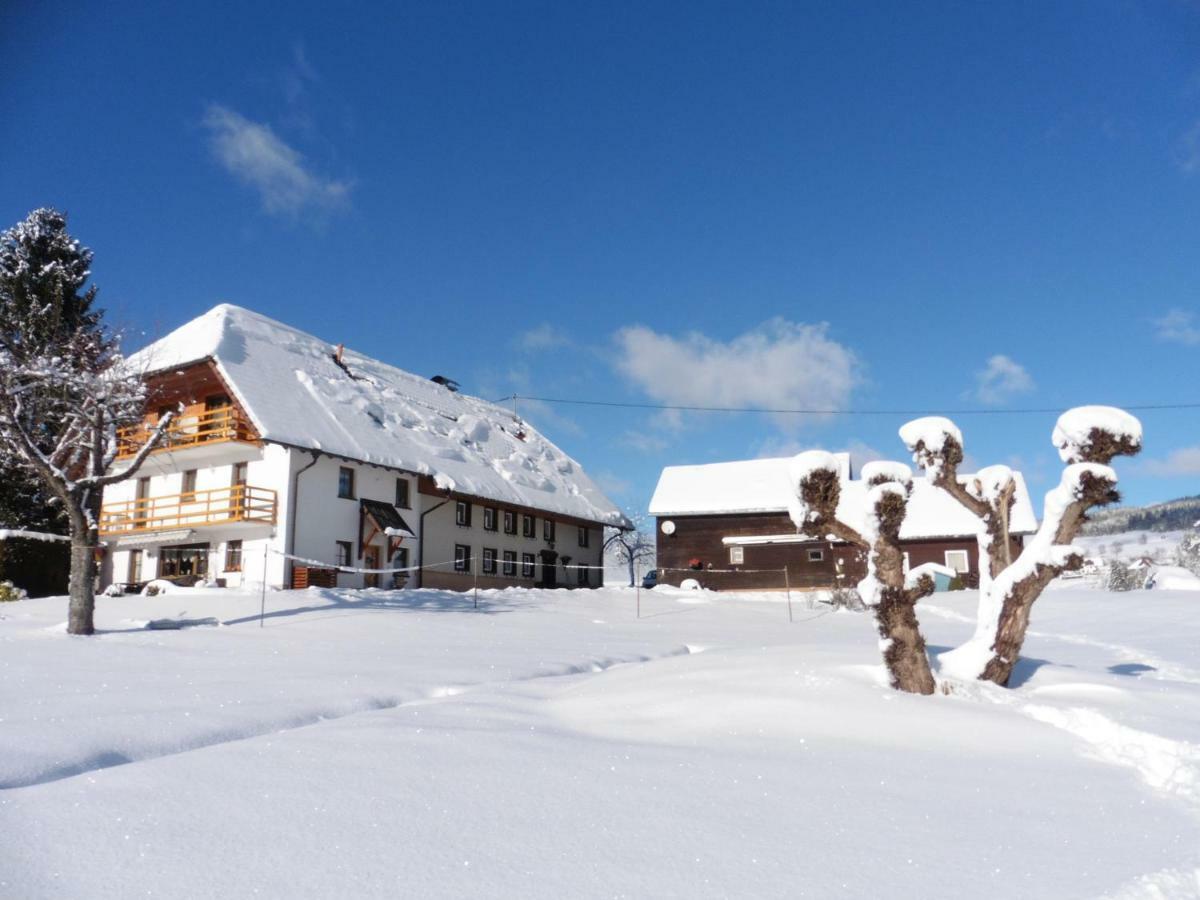 Ferienhaus Ehinger Lägenhet Breitnau Exteriör bild