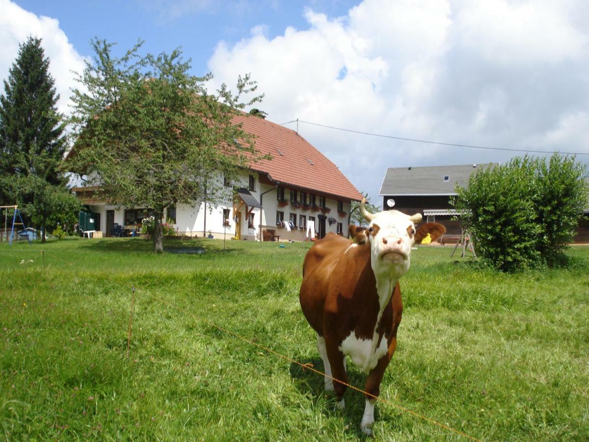 Ferienhaus Ehinger Lägenhet Breitnau Exteriör bild