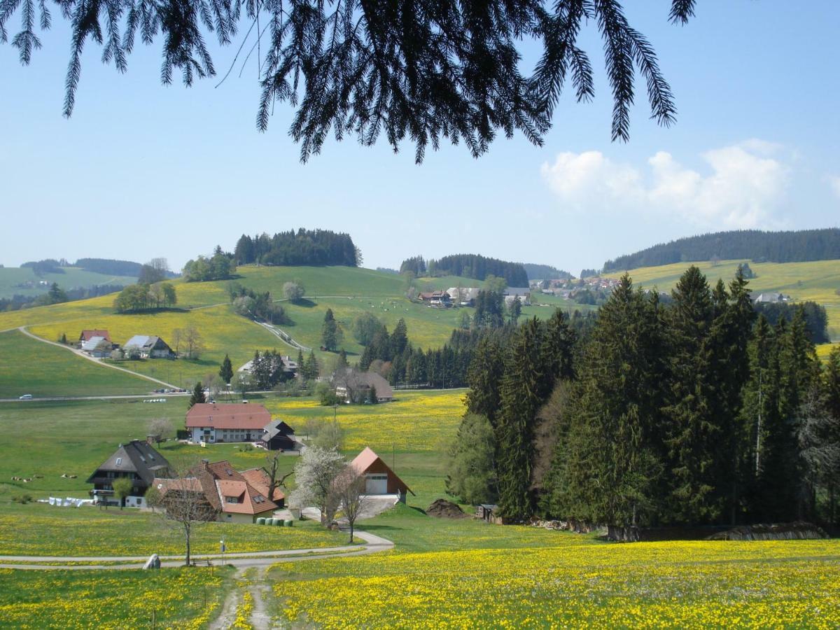 Ferienhaus Ehinger Lägenhet Breitnau Exteriör bild