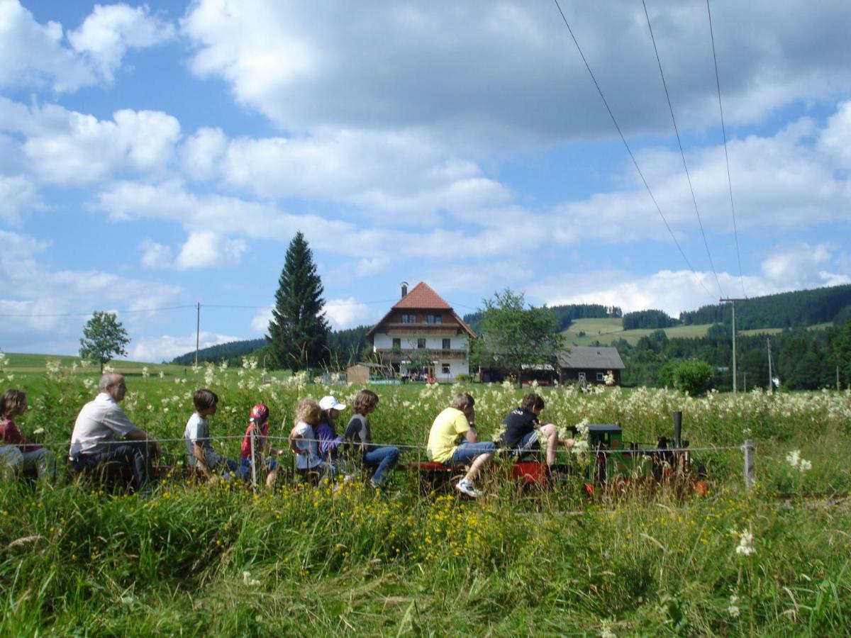 Ferienhaus Ehinger Lägenhet Breitnau Exteriör bild