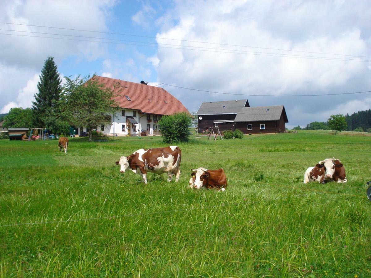 Ferienhaus Ehinger Lägenhet Breitnau Exteriör bild