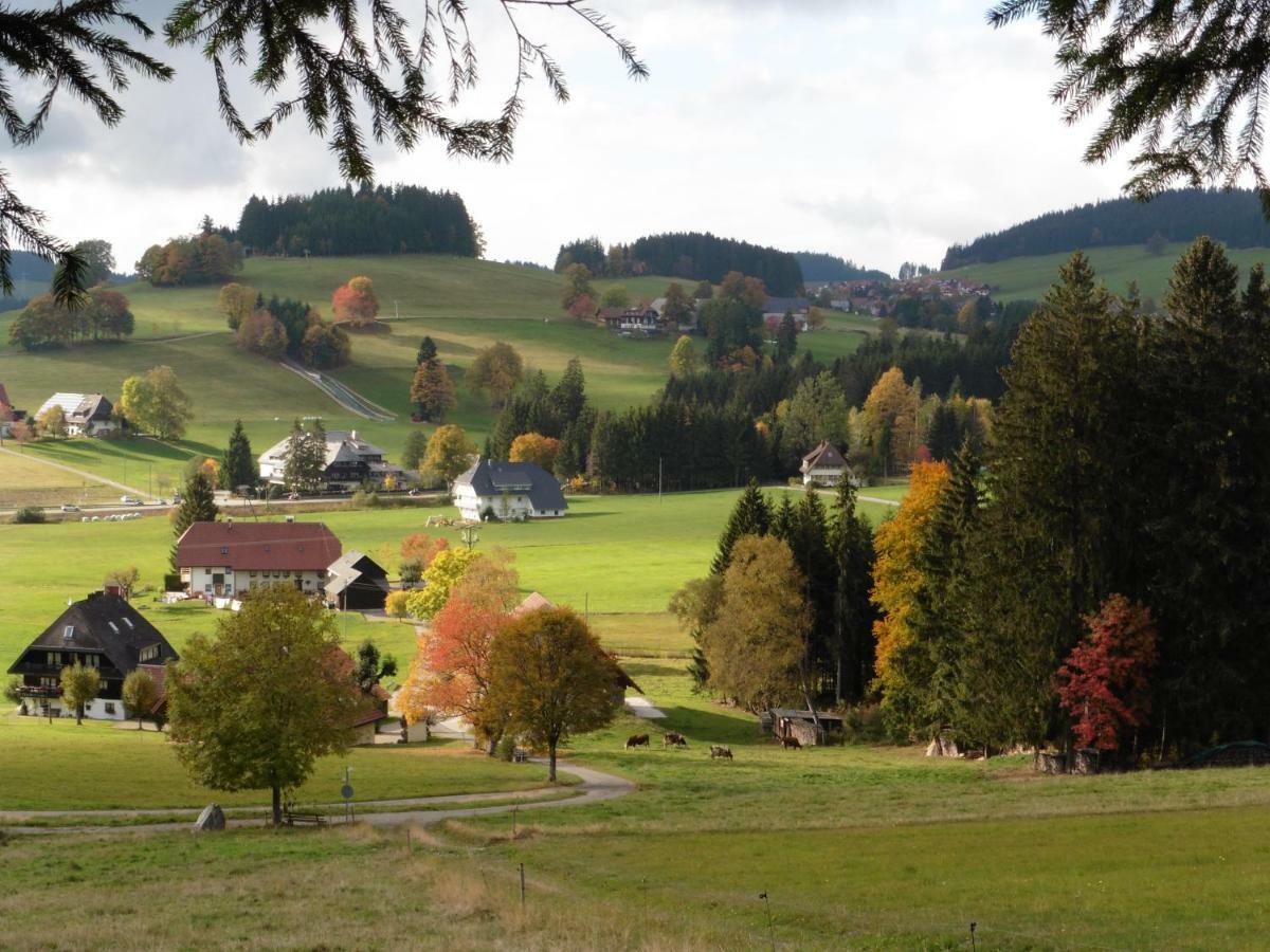 Ferienhaus Ehinger Lägenhet Breitnau Exteriör bild