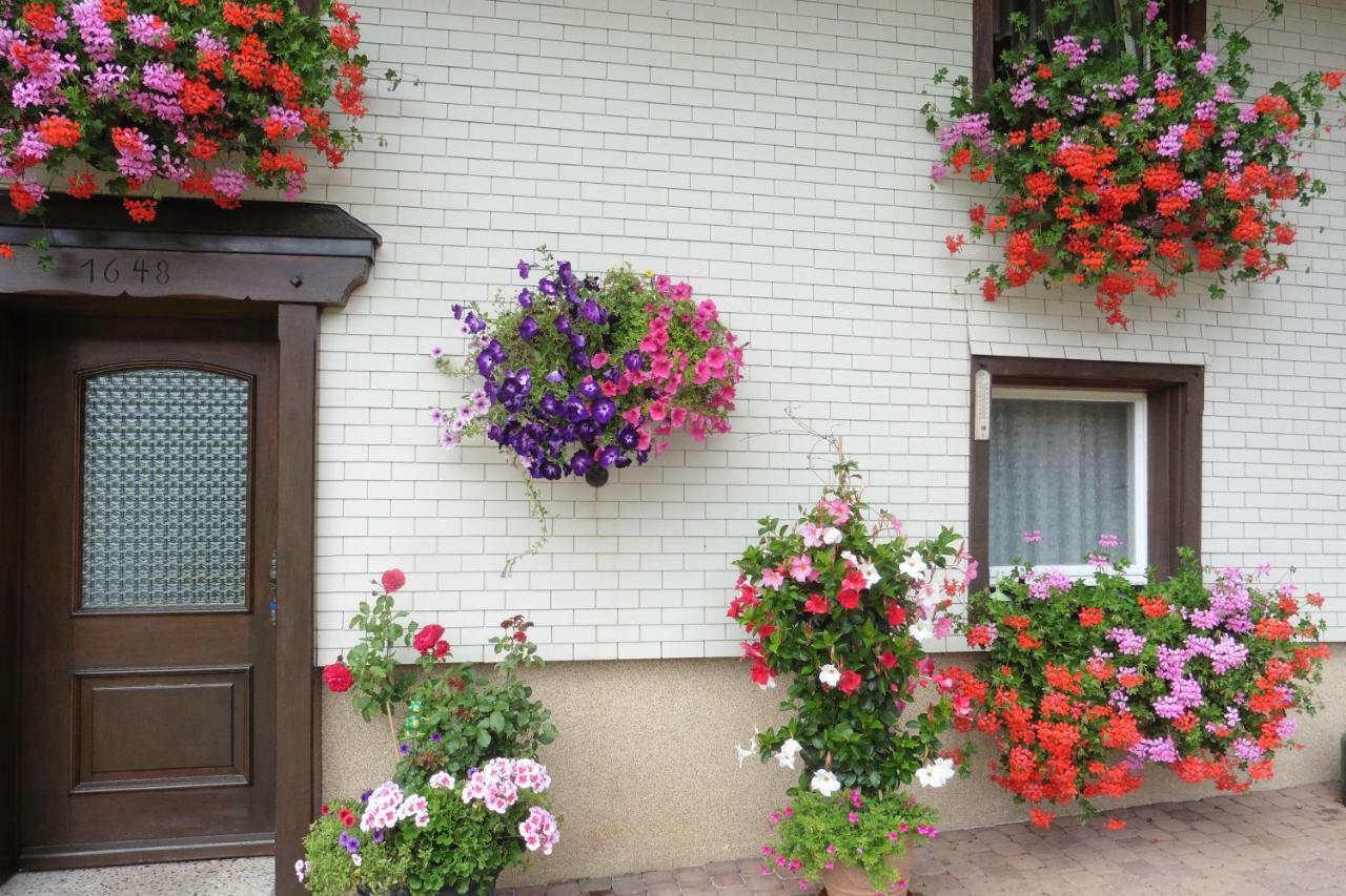 Ferienhaus Ehinger Lägenhet Breitnau Exteriör bild