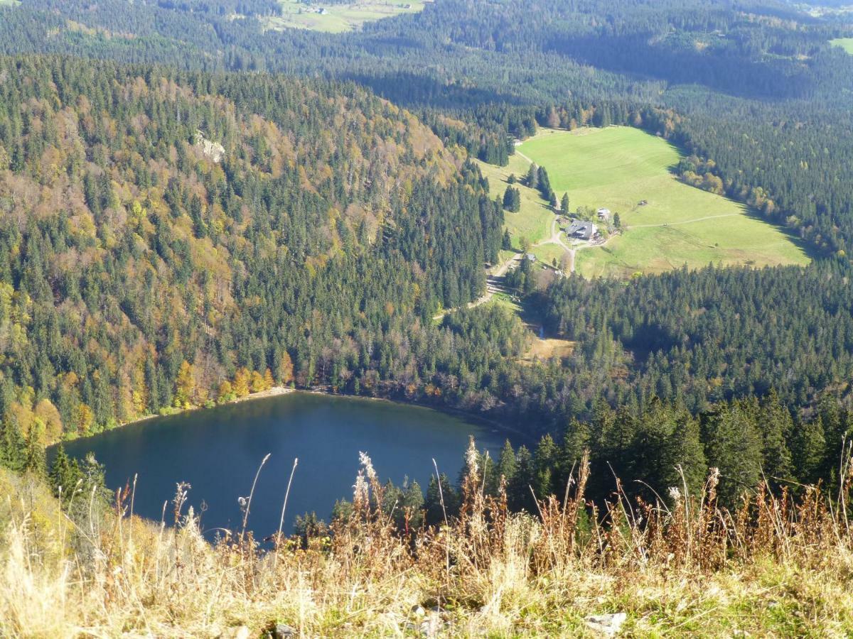 Ferienhaus Ehinger Lägenhet Breitnau Exteriör bild